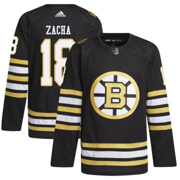Authentic Adidas Men's Pavel Zacha Boston Bruins 100th Anniversary Primegreen Jersey - Black