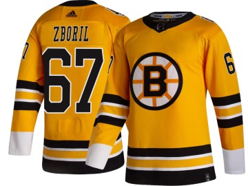 Breakaway Adidas Men's Jakub Zboril Boston Bruins 2020/21 Special Edition Jersey - Gold