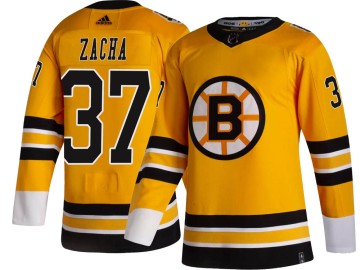Breakaway Adidas Men's Pavel Zacha Boston Bruins 2020/21 Special Edition Jersey - Gold
